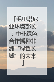 毛里塔尼亚环境部长：中非绿色合作播种非洲“绿色长城”的未来