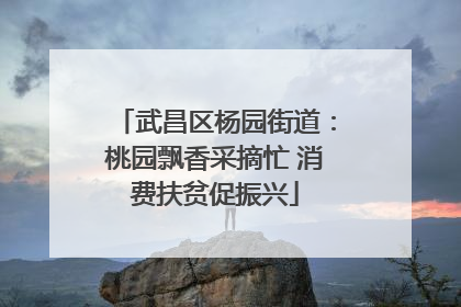 武昌区杨园街道：桃园飘香采摘忙 消费扶贫促振兴