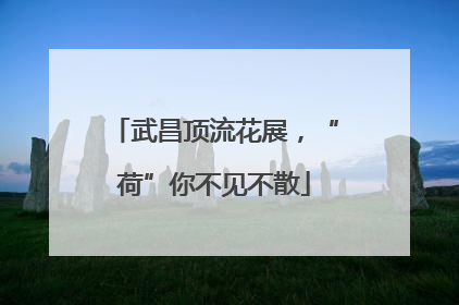 武昌顶流花展，“荷”你不见不散