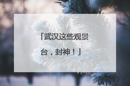 武汉这些观景台，封神！