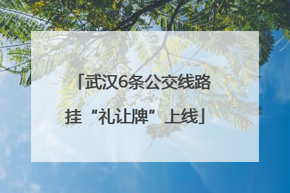 武汉6条公交线路挂“礼让牌”上线