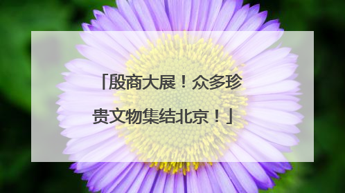 殷商大展！众多珍贵文物集结北京！