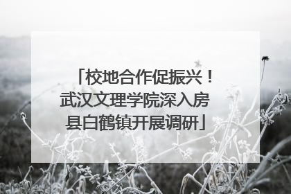 校地合作促振兴！武汉文理学院深入房县白鹤镇开展调研