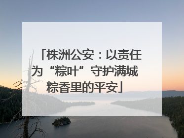 株洲公安：以责任为“粽叶”守护满城粽香里的平安