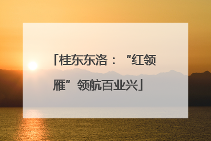 桂东东洛：“红领雁”领航百业兴