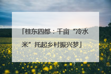 桂东四都：千亩“冷水米”托起乡村振兴梦