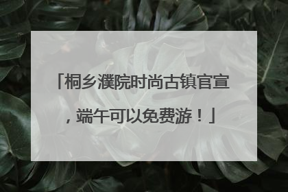 桐乡濮院时尚古镇官宣，端午可以免费游！