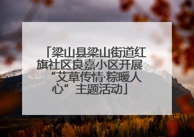 梁山县梁山街道红旗社区良嘉小区开展“艾草传情·粽暖人心”主题活动