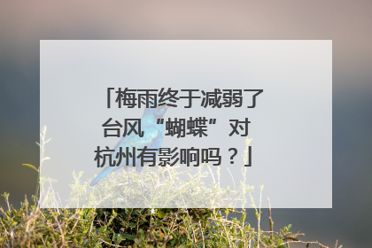 梅雨终于减弱了 台风“蝴蝶”对杭州有影响吗？