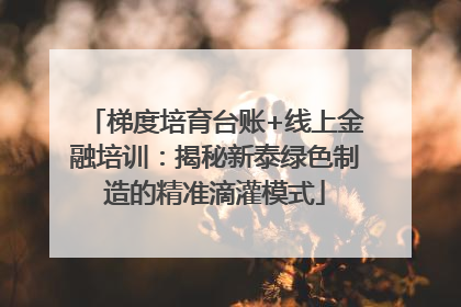 梯度培育台账+线上金融培训：揭秘新泰绿色制造的精准滴灌模式