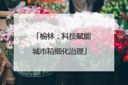榆林：科技赋能城市精细化治理