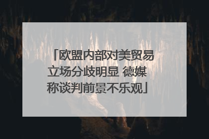 欧盟内部对美贸易立场分歧明显 德媒称谈判前景不乐观