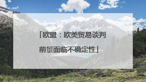 欧盟：欧美贸易谈判前景面临不确定性