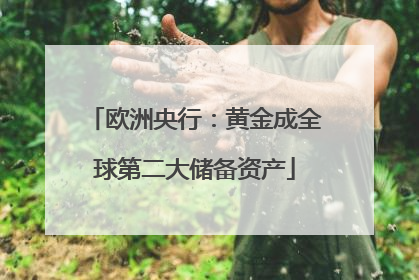欧洲央行：黄金成全球第二大储备资产