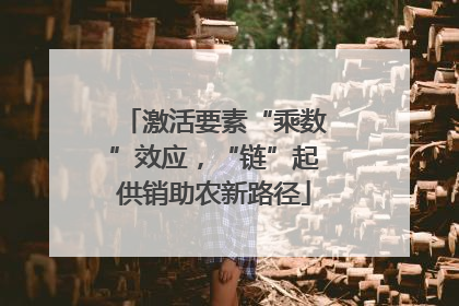激活要素“乘数”效应，“链”起供销助农新路径