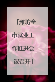 潍坊全市就业工作推进会议召开