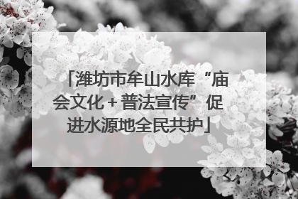 潍坊市牟山水库“庙会文化＋普法宣传”促进水源地全民共护
