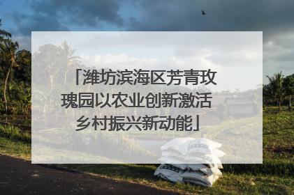 潍坊滨海区芳青玫瑰园以农业创新激活乡村振兴新动能