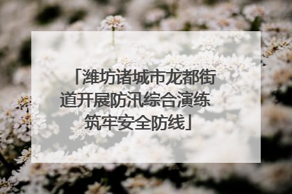 潍坊诸城市龙都街道开展防汛综合演练 筑牢安全防线