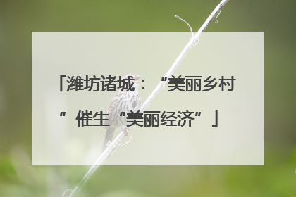 潍坊诸城：“美丽乡村”催生“美丽经济”