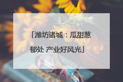 潍坊诸城：瓜甜葱郁处 产业好风光