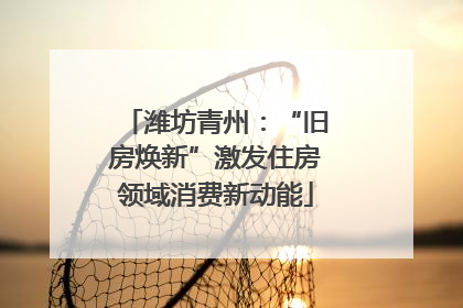 潍坊青州：“旧房焕新”激发住房领域消费新动能