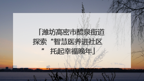 潍坊高密市醴泉街道探索“智慧医养进社区” 托起幸福晚年