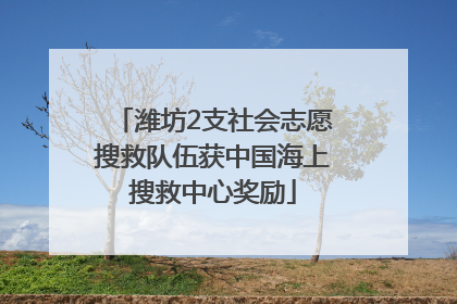潍坊2支社会志愿搜救队伍获中国海上搜救中心奖励
