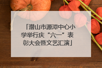 潜山市源潭中心小学举行庆“六一”表彰大会暨文艺汇演