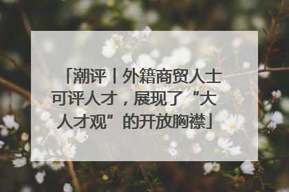潮评丨外籍商贸人士可评人才，展现了“大人才观”的开放胸襟