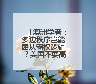 澳洲学者：多边秩序岂能屈从霸权逻辑？美国不要高估了自己的重要性