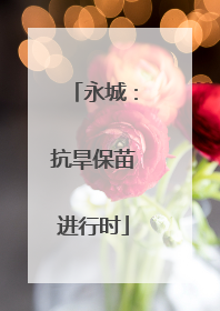 永城：抗旱保苗进行时