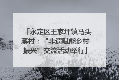 永定区王家坪镇马头溪村：“非遗赋能乡村振兴”交流活动举行