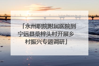 永州职院附属医院到宁远县桑梓头村开展乡村振兴专题调研
