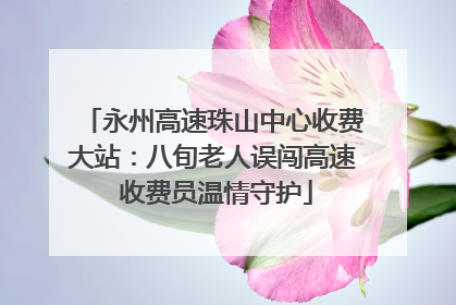 永州高速珠山中心收费大站：八旬老人误闯高速 收费员温情守护