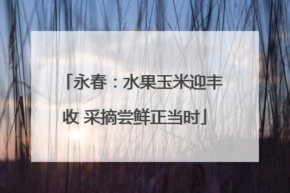 永春：水果玉米迎丰收 采摘尝鲜正当时