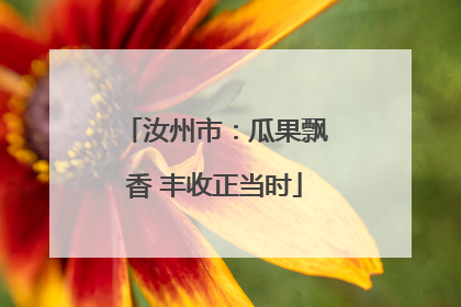 汝州市：瓜果飘香 丰收正当时