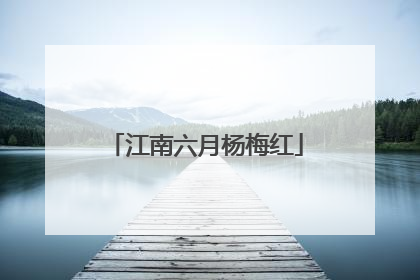 江南六月杨梅红