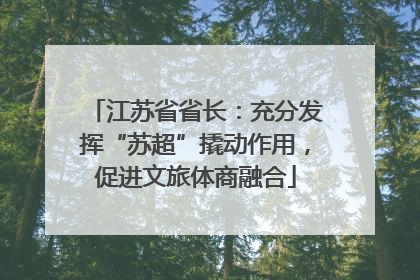 江苏省省长：充分发挥“苏超”撬动作用，促进文旅体商融合