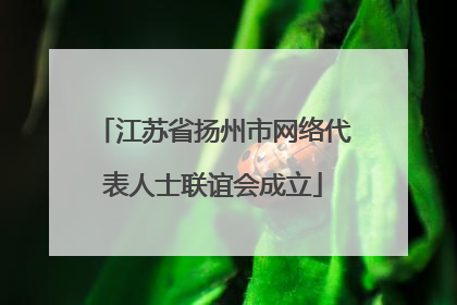 江苏省扬州市网络代表人士联谊会成立