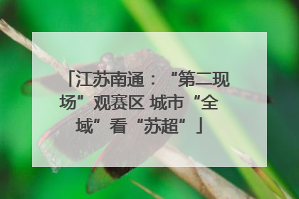 江苏南通：“第二现场”观赛区 城市“全域”看“苏超”