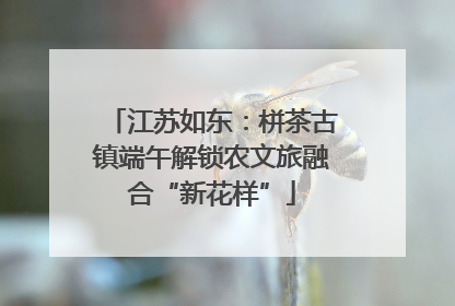 江苏如东：栟茶古镇端午解锁农文旅融合“新花样”