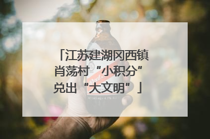 江苏建湖冈西镇肖荡村“小积分”兑出“大文明”