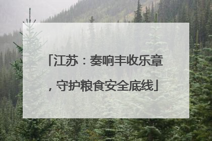 江苏：奏响丰收乐章，守护粮食安全底线