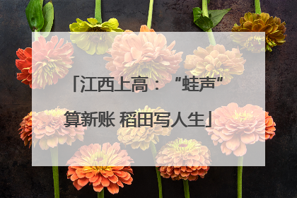 江西上高：“蛙声”算新账 稻田写人生