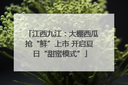 江西九江：大棚西瓜抢“鲜”上市 开启夏日“甜蜜模式”