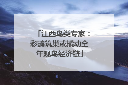 江西鸟类专家：彩鹮筑巢或撬动全年观鸟经济链