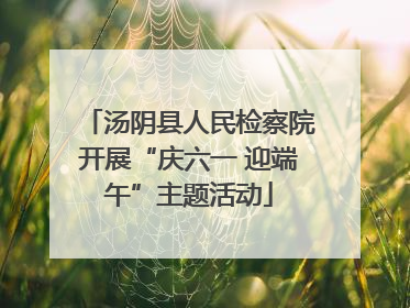 汤阴县人民检察院开展“庆六一 迎端午”主题活动