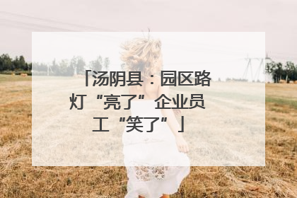 汤阴县：园区路灯“亮了”企业员工“笑了”