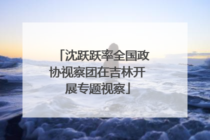 沈跃跃率全国政协视察团在吉林开展专题视察